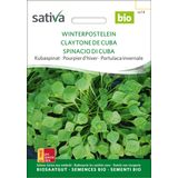 Sativa Bio kubanska špinača “Winterpostelein”
