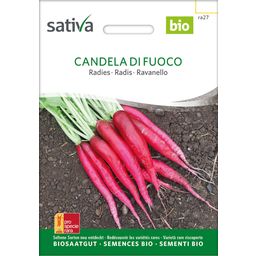 Sativa Rábano Bio - Vela de Fuego