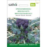 Sativa Bio brokuł "Sprossenbrokkoli"