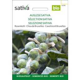 Chou de Bruxelles Bio "Sélection Sativa"