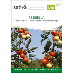 Sativa Bio češnjev paradižnik “Resibella”