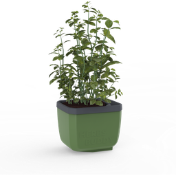 Paul Potato Herbs Buddy - Dark Green