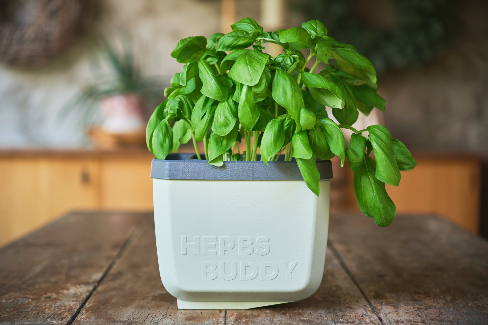 Gusta Garden Herbs Buddy