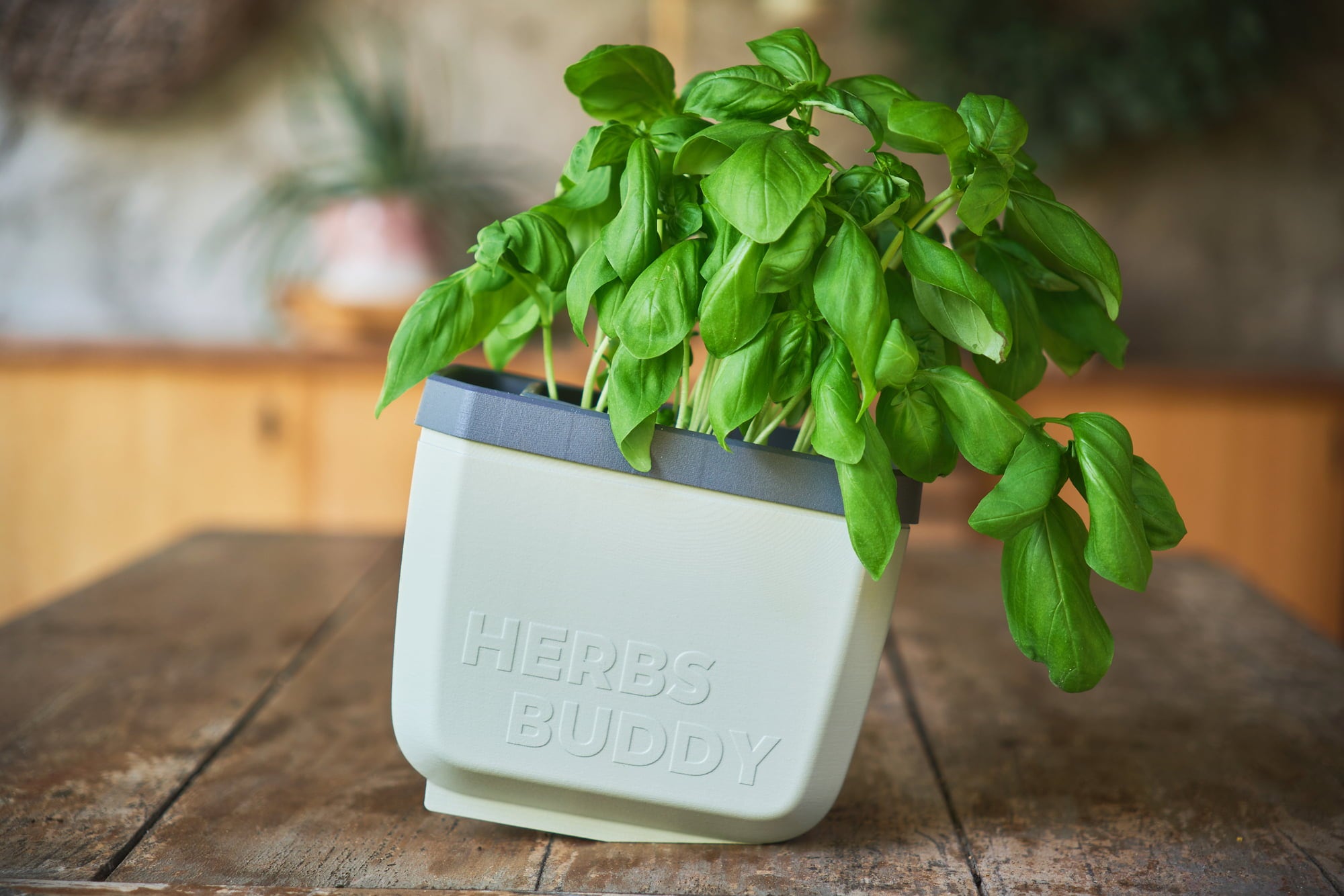 Gusta Garden Herbs Buddy