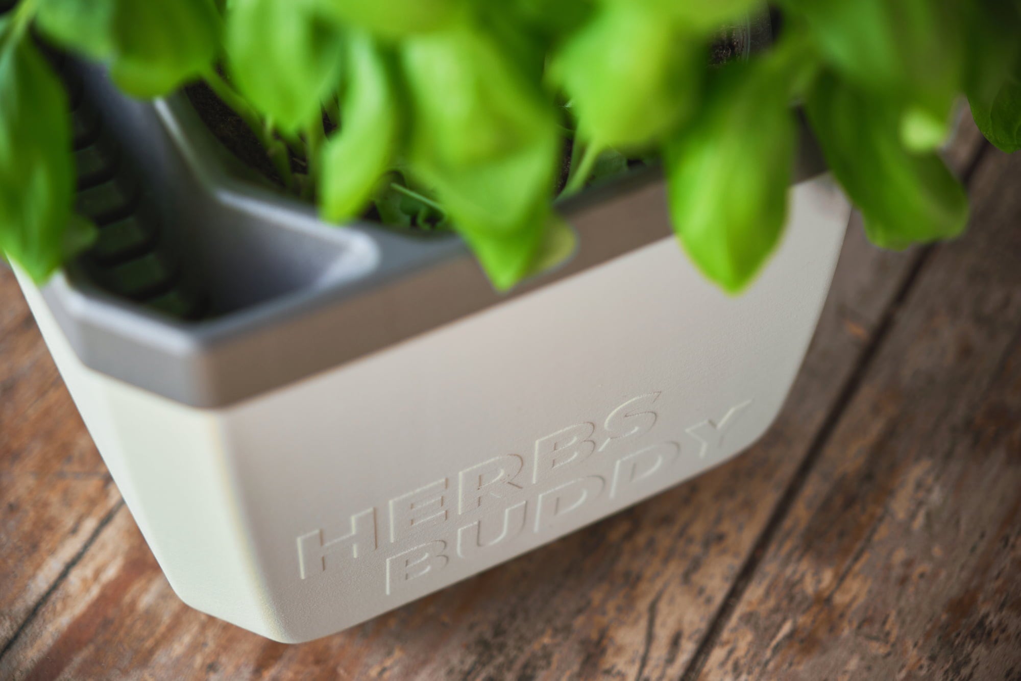 Gusta Garden Herbs Buddy