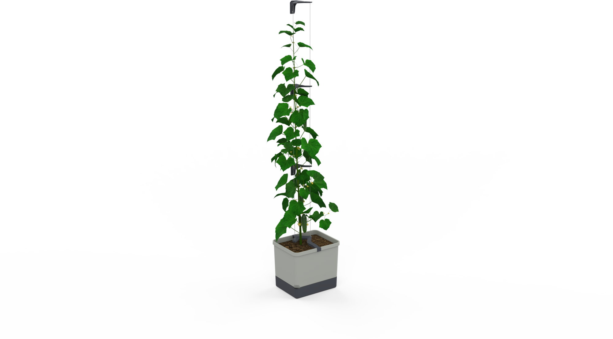 Gusta Garden Curt Cucumber - Svetlosiva
