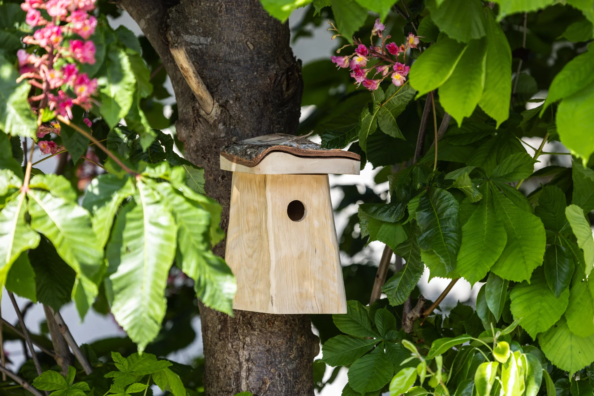 Windhager Log Cabin Nesting Box 