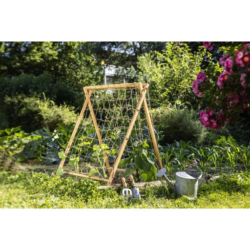 Update: Rozenboog met klimcourgette en tomatentipi - Makkelijke Moestuin Update: Rozenboog met klimcourgette en tomatentipi - Makkelijke Moestuin