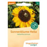 Bingenheimer Saatgut Sonnenblume "Helianthus Hella"