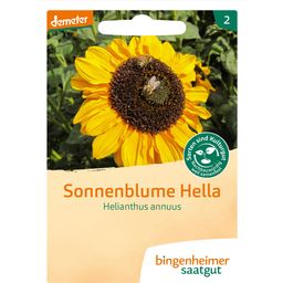 Bingenheimer Saatgut Sonnenblume 