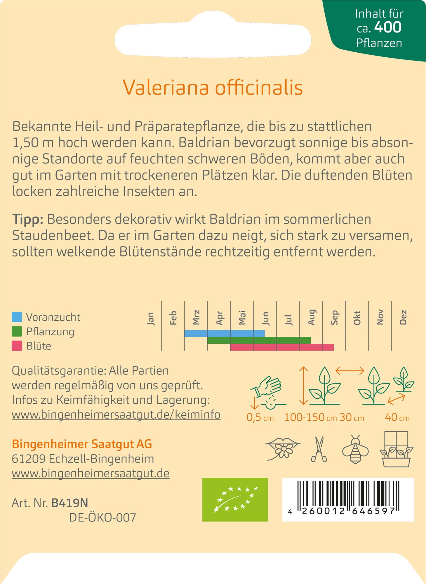 Bingenheimer Saatgut Baldrian