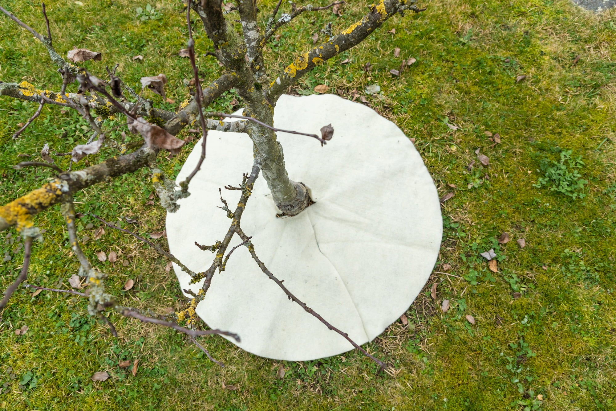 Andermatt Biogarten Mulching Disc - ∅ 100 cm