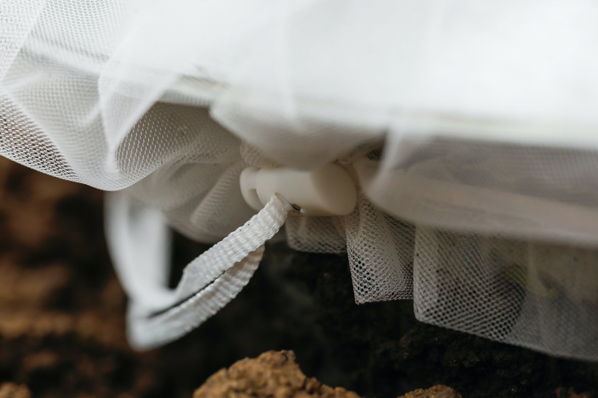 Andermatt Biogarten Insect Protection for Vegetables - 6 items