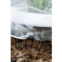 Andermatt Biogarten Insect Protection for Perennials - 6 items