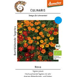 Culinaris Nova Bio színes bársonyvirág - 1 csomag