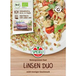 Sperli Organic Sprout Seed Lentil Duo