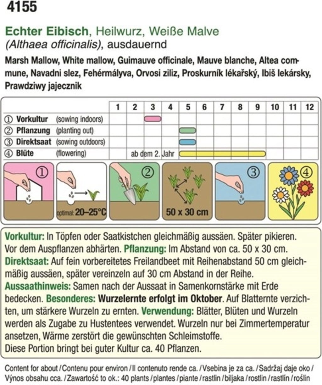 AUSTROSAAT Guimauve Officinale 