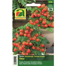 AUSTROSAAT Tomate - Vilma