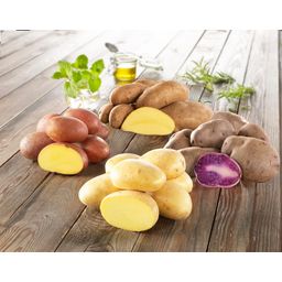 Mezcla de Patatas de Siembra, Especialidades - 12 piezas