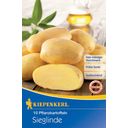 Kiepenkerl Sieglinde Seed Potatoes - 10 items