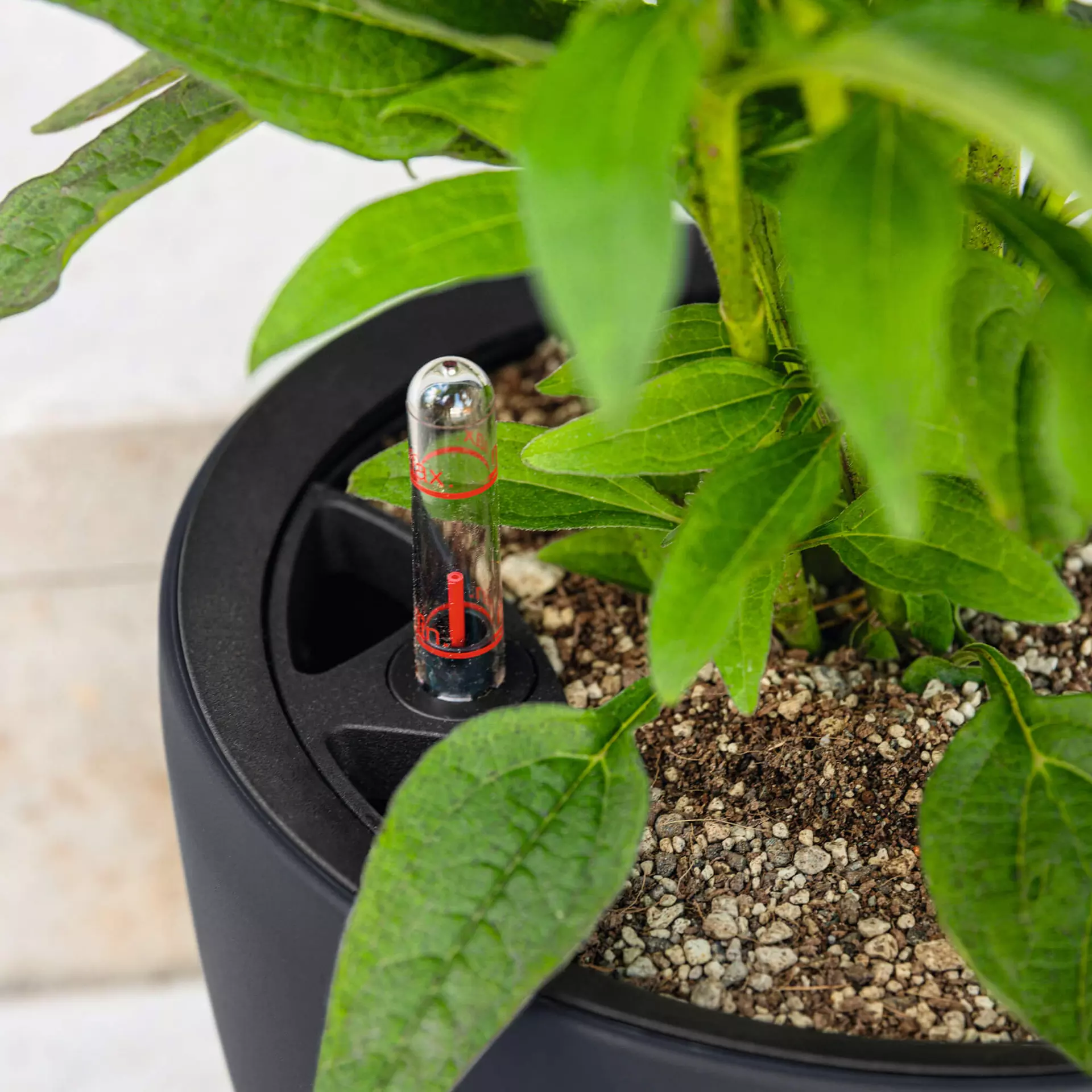 Lechuza Jardinière CLASSICO Couleur LS 28 - blanc