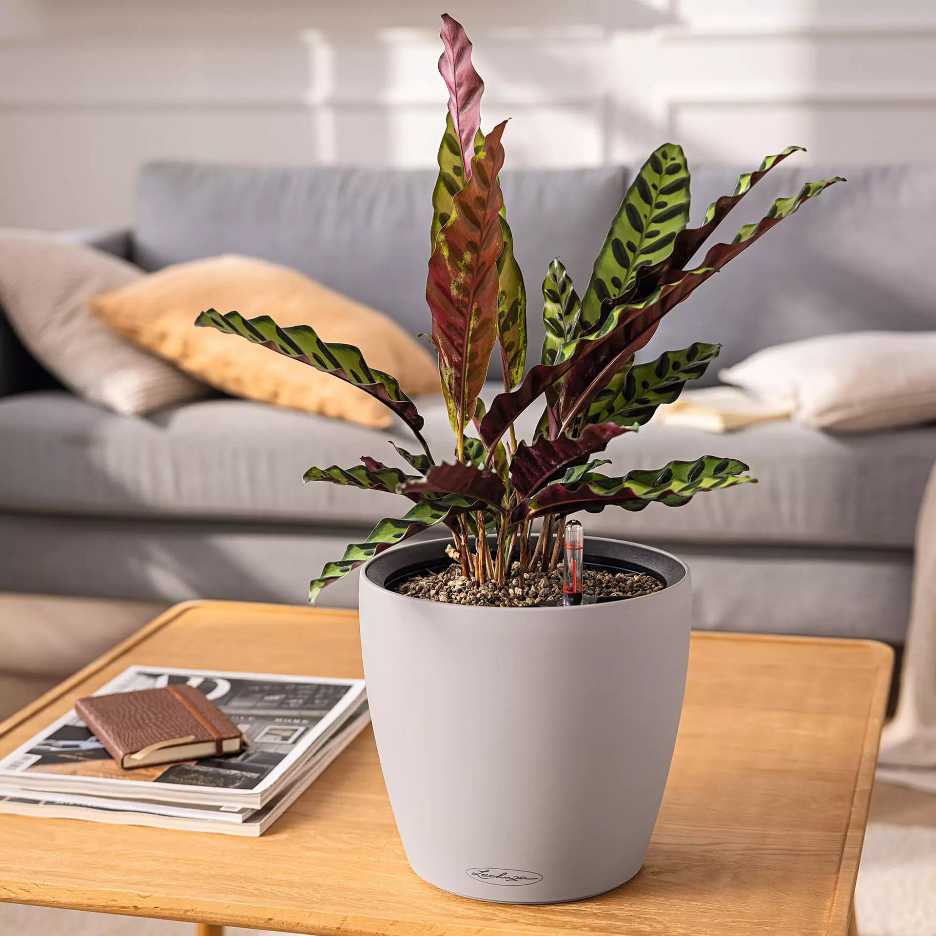 Lechuza Jardinière CLASSICO Couleur LS 28 - blanc