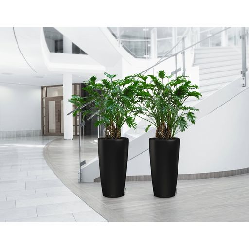 Lechuza Planteringskärl Rondo Premium 40