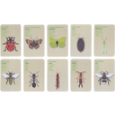 Esschert Design Ontdekkerstasje “Insecten”