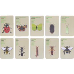 Esschert Design Pequeños Exploradores - Insectos