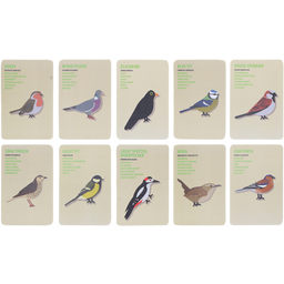 Esschert Design Set Pequeños Exploradores - Pájaros
