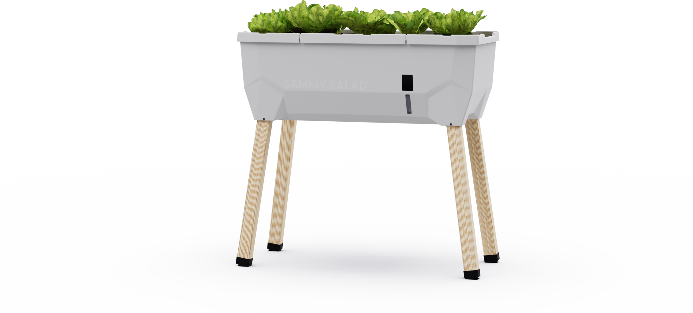 Paul Potato Sammy Salad Raised Bed - Without a Lid