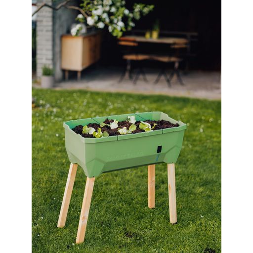 Paul Potato Sammy Salad Raised Bed - Without a Lid - dark green