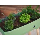 Gusta Garden Sammy Salad magaságyás - fedél nélkül - sötétzöld