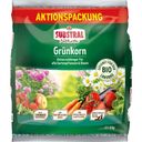 SUBSTRAL® Naturen® Organiczne zielone ziarno - 6 kg
