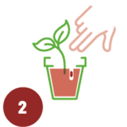 Rovar Gele stickers vliegenval 60 stuks, effectieve bestrijding van rouwmuggen op kamerplanten, extra groot opvangoppervlak (060 stuks
