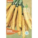 ReinSaat Carrots ''Solveig'' - 1 Pkg