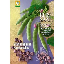 ReinSaat "Forellenbohne" Green Runner Beans