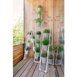 Fairwerk Plant Ladder  - White