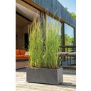 Plantenbak Millenium 59 cm met Waterreservoir, Sandstone - Antraciet