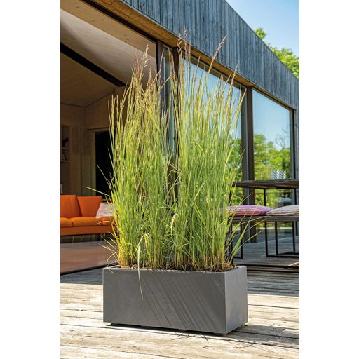 Plantenbak Millenium 59 cm met Waterreservoir, Sandstone - Antraciet