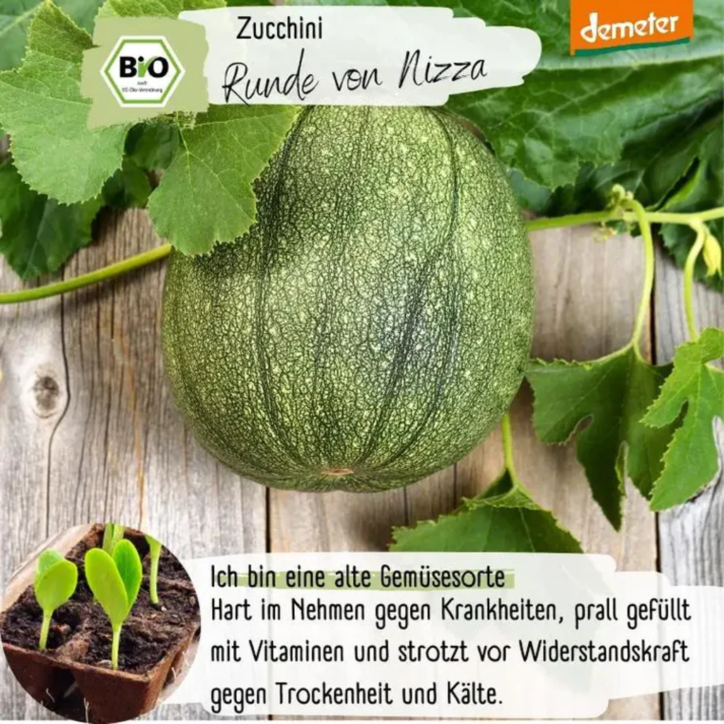 LOVEPLANTS Ekologisk Zucchini 