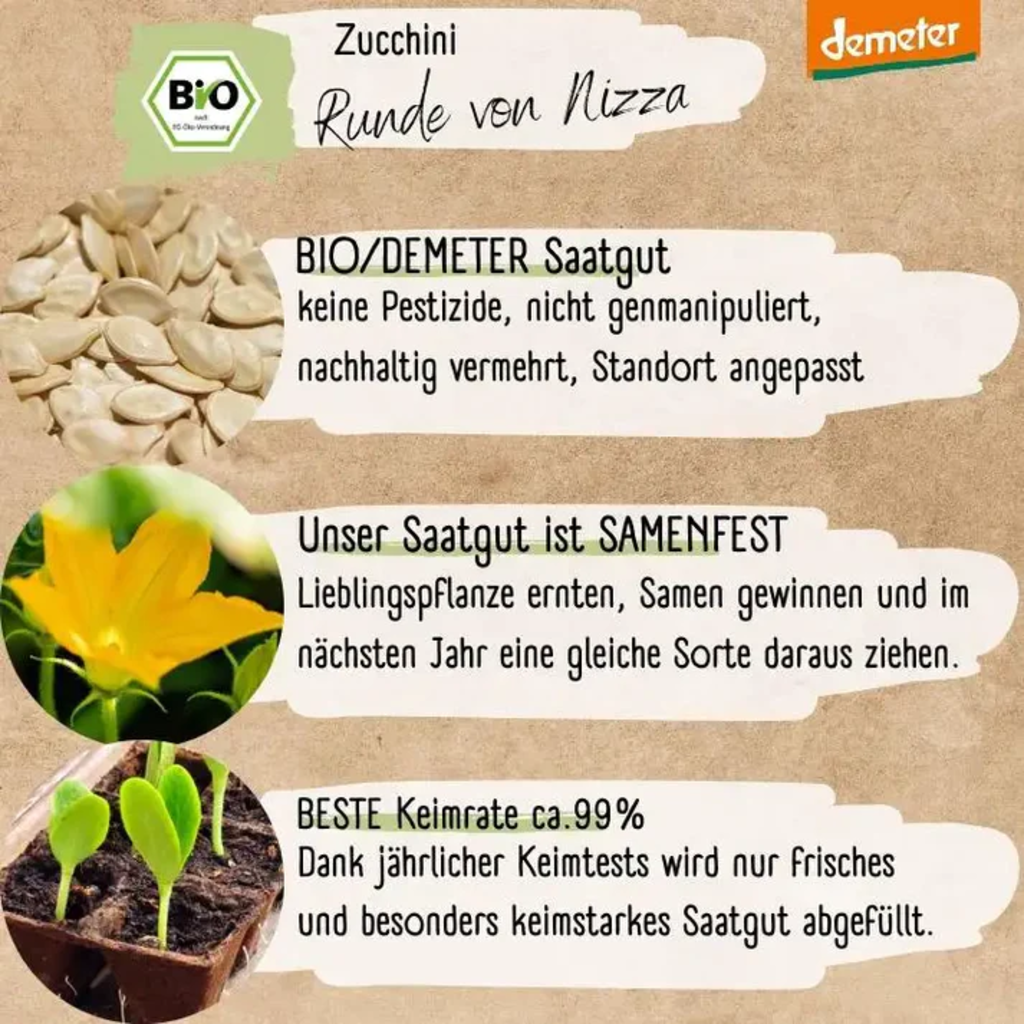 LOVEPLANTS Ekologisk Zucchini 