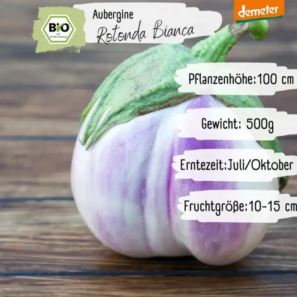 Loveplants Organic Aubergine 