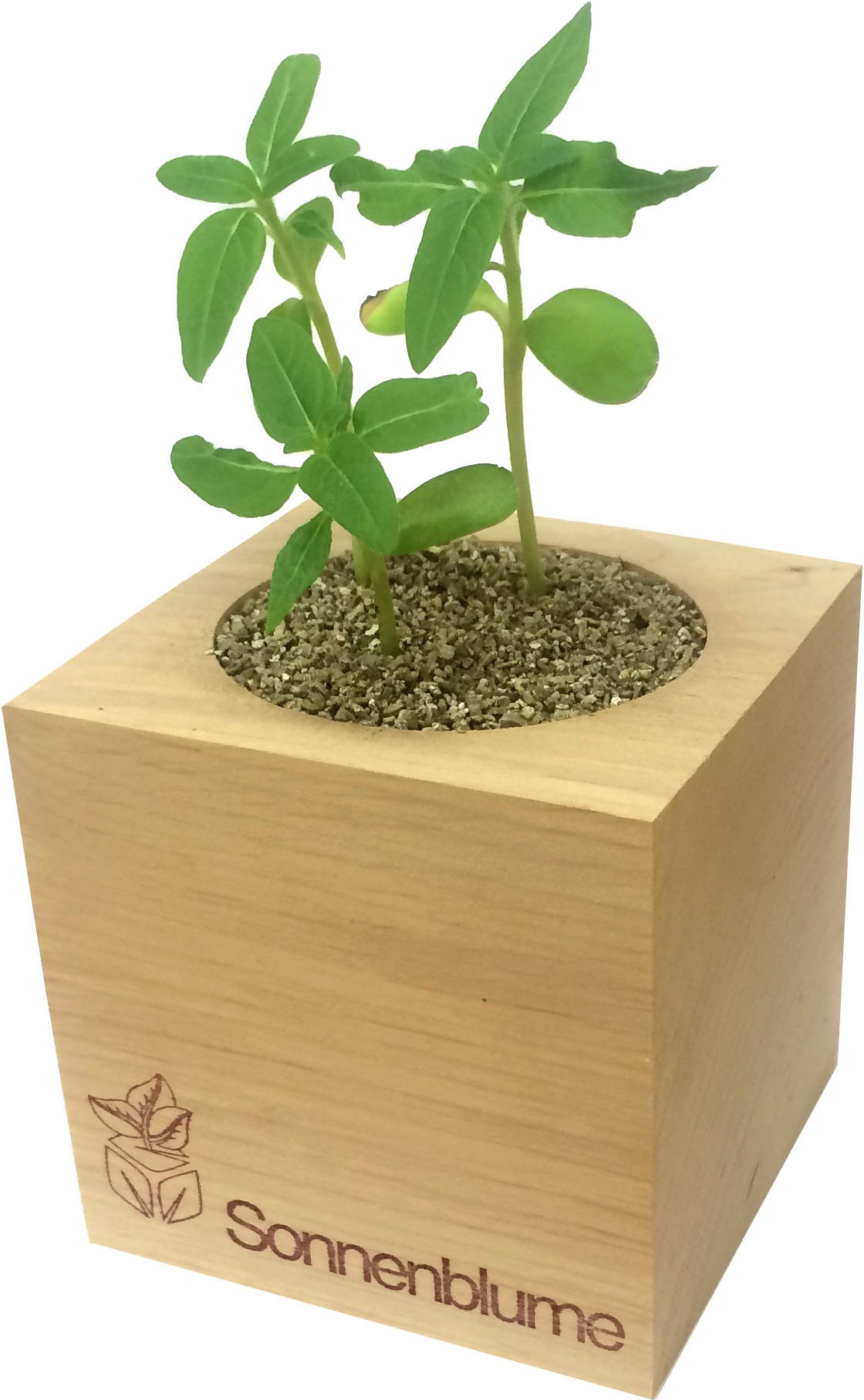 Feel Green ecocube 