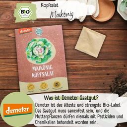 Loveplants Organic Lettuce “Maikönig” - 1 Pkg