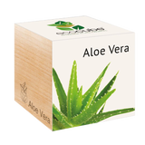 Feel Green ecocube "Exotics"