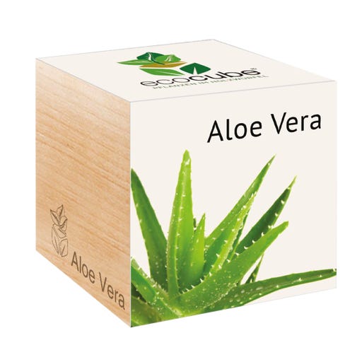 detox aloe vera gel Gentle Hydration: Fragrance-Free Aloe Vera Gel – Deep Steep