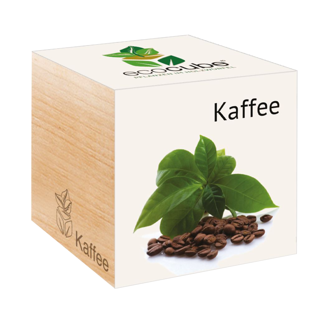 Feel Green ecocube 