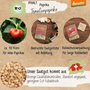LOVEPLANTS Bio Tomatenpaprika - 1 Pkg
