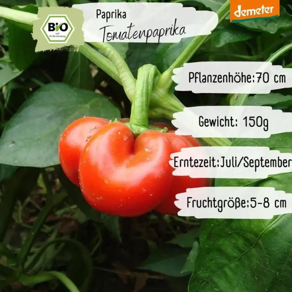 LOVEPLANTS Bio Tomatenpaprika - 1 Pkg